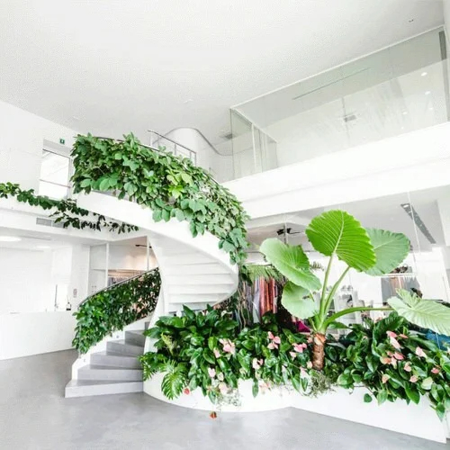 20 Amazıng Indoor Garden on the Staırcase Ideas