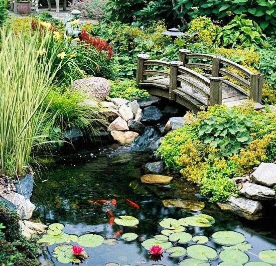 30 Backyard Pond Ideas You’ll Love –  From Modern to Rustıc