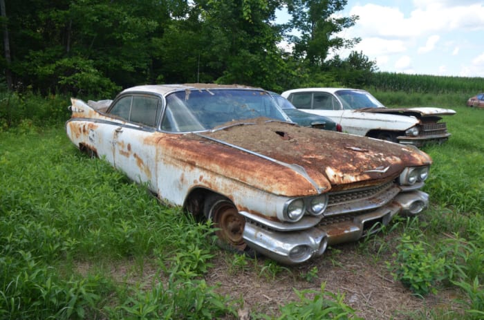  One of only 975 Eldorado Seville coupes built in 1959, this one is complete but probably too rusty to save. It retains all of the Eldorado trim. This and the other cars were stored in a raccoon-infested barn, and this one still wears the excrement of the furry visitors that covered the inside of the barn. The feces even ate a hole in the hood in this car.