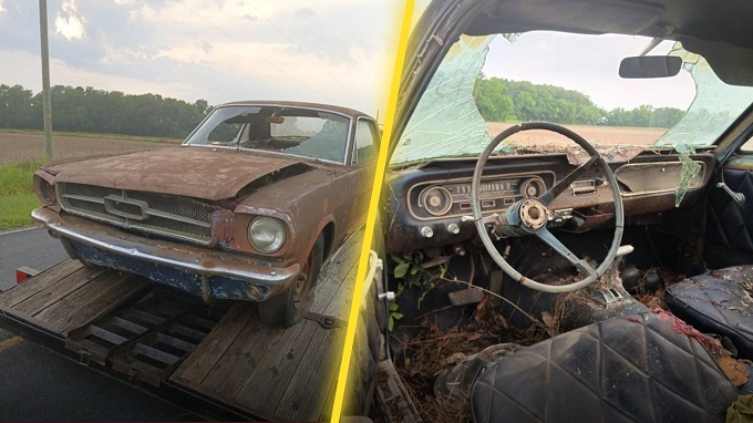 Farewell to a Classic: Rediscovering the Forgotten 1965 Mustang Parked for Years