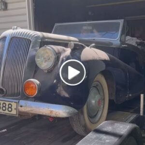 Exploring a Unique Car Collection Featuring a 1963 Chevrolet Corvette