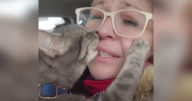 Adorable Cat Can’t Stop Hugging and Licking His Mom!