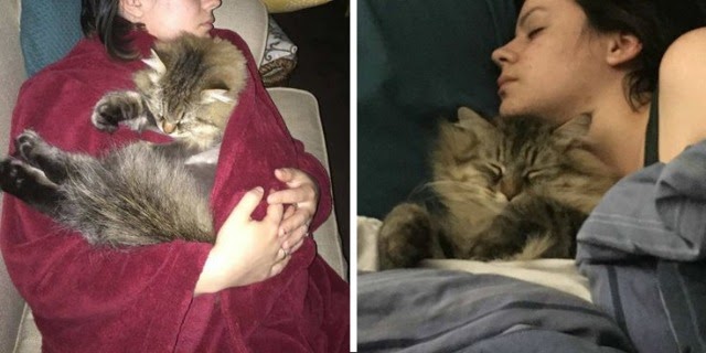 Shy Cat Never Hugged His Mom, Until He Realized She Was Pregnant