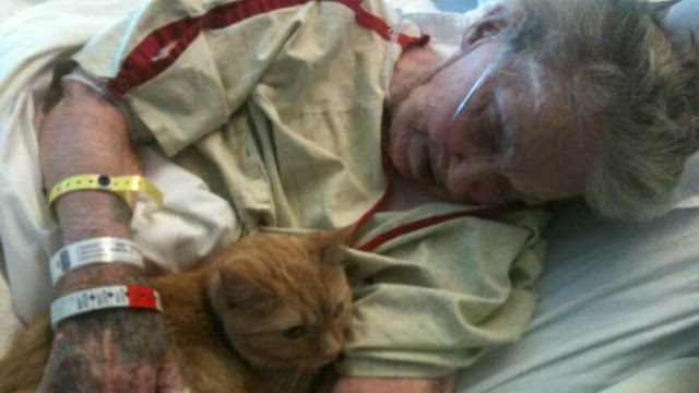 Elderly Woman’s Last Wish Was To See Her Best Friend To Say Goodbye