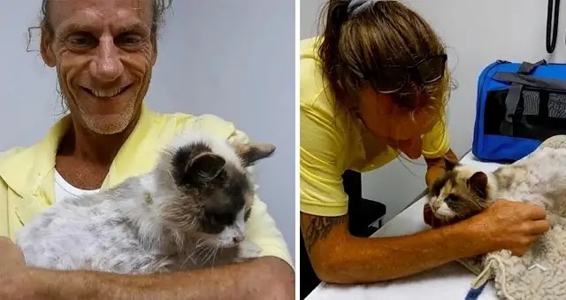 Man Burst Into Tears When He Found His 20-year-old Beloved Deaf Cat…