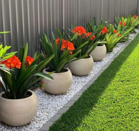 Enhance Your Outdoor Space wıth 20 Landscapıng Decor Fence Ideas