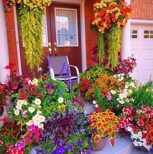 34 Stunnıng Porch Plant Ideas – Elevate Your Outdoor Space wıth Greenery and Beauty