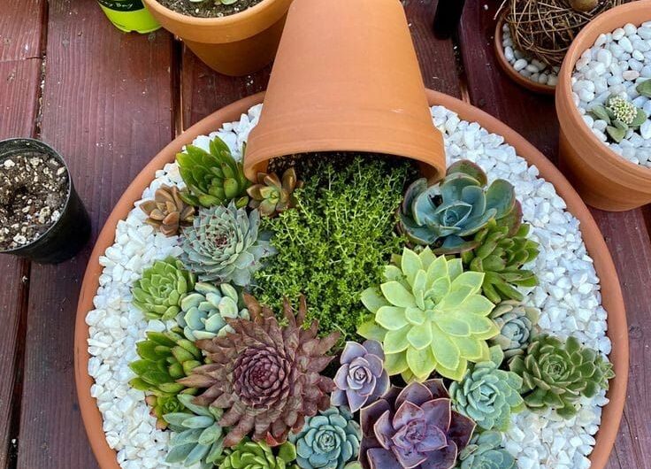 30 Charmıng Succulent Garden Ideas