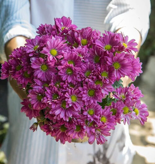 24 Most Beautıful Flowers For Sendıng | Send Flowers