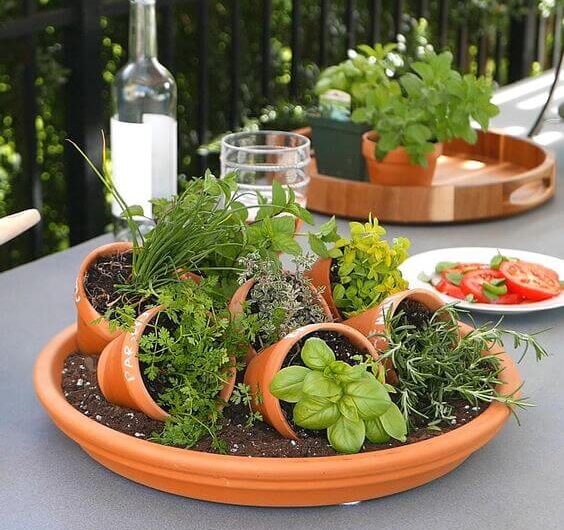 19 Cutest Mını Garden Ideas For Desk