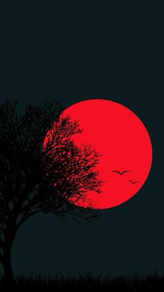 Breathtaking – The Mesmerizing Glow Of The Suspended Crimson Full Moon