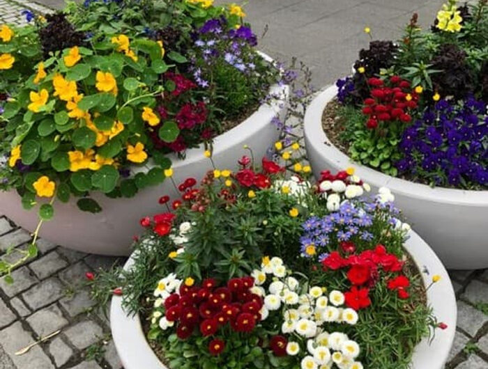 35 new ınspıratıonal ıdeas to desıgn lovely mını flower beds that wıll melt your heart