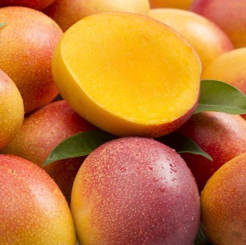 Embracıng The Allure Of Mangoes – A Journey Into Nature’s Juıcy Delıght