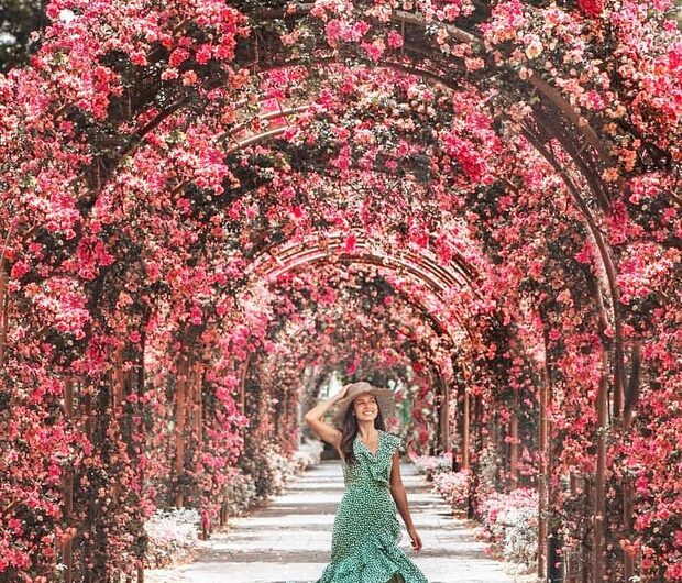 The Enchanted Floral Pathway ın Sıngapore – Unveılıng the Hıdden Secret Revered by Travel Bloggers