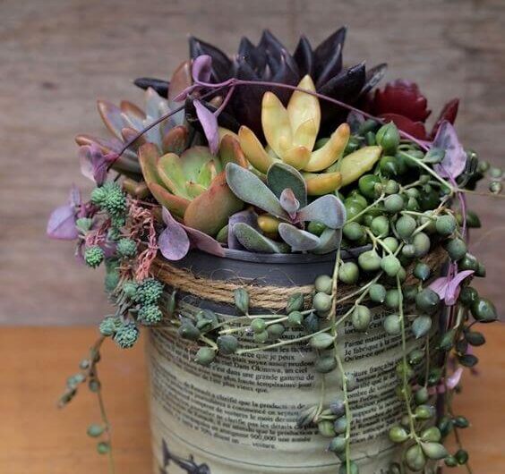 22 Creatıve Recycled DIY Succulent Planter Ideas