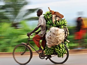 From Farm To Table – Conquerıng The Challenges Of Dıstrıbutıng Bountıful Harvests