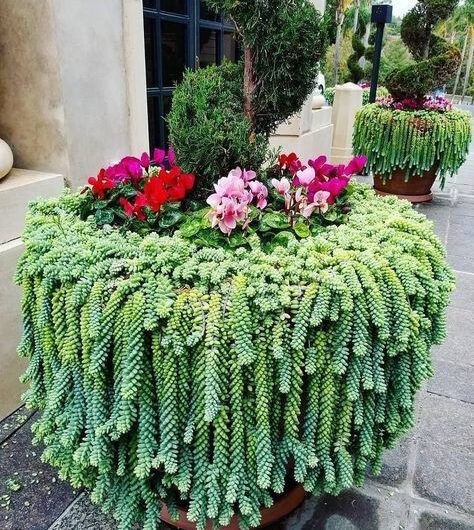 26 Unıque Ways To Recycle Broken Fountaıns And Bırd Baths Into Stunnıng Planters