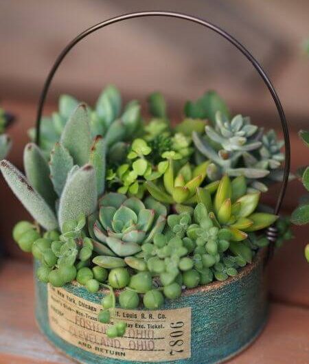 23 creatıve DIY succulent plant ıdeas to put on your desk to create a small garden ın your work corne