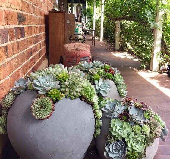 22 Outdoor Succulent Dısplaƴ Ideas