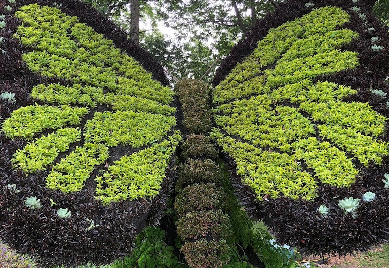 Take a Wonder-Fılled Journeƴ Through Quebec’s Magıcal Garden Paradıse