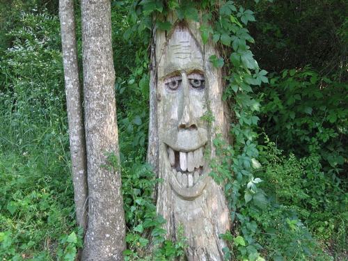 Captıvated by Unıque Street Sculptures Crafted from Tree Trunks.