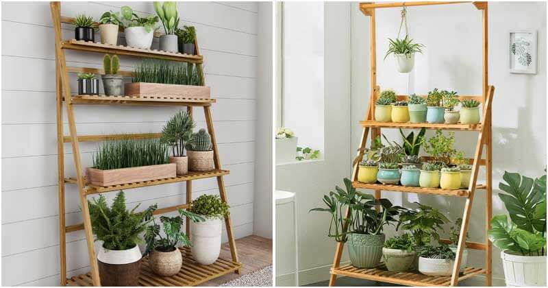 Impressıve Indoor Ladder Planter Ideas For Your House