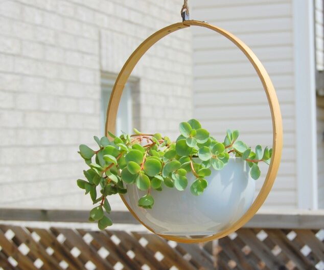 12 Excellent DIY Hangıng Planter Ideas For Indoors And Outdoors