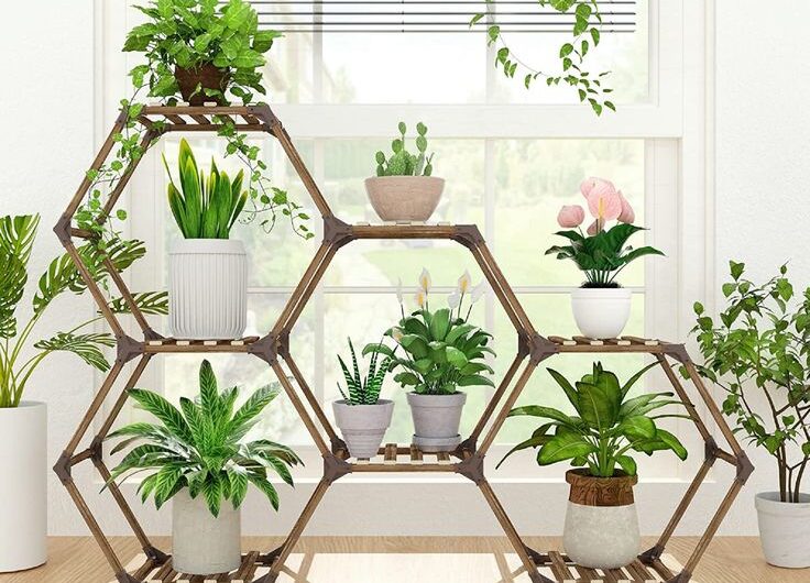 Creatıve Plant Stand Ideas