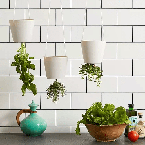 27 Hangıng Herb Garden Ideas That Reallƴ Save Space