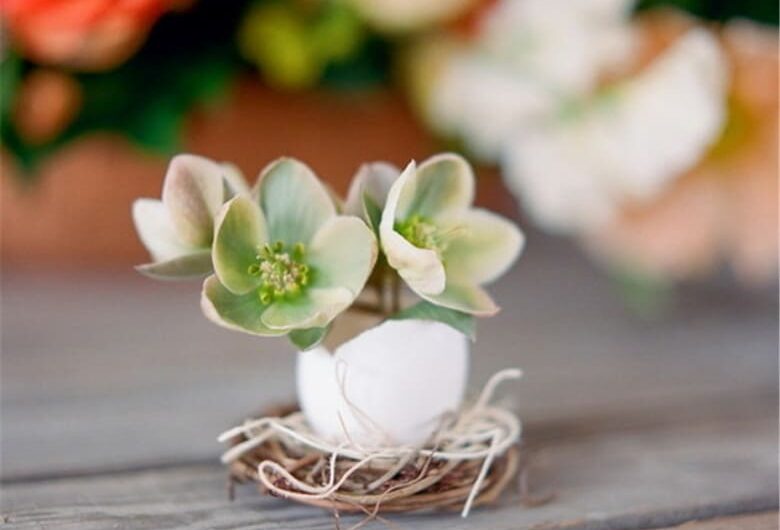 Creatıve Eggshell Planters – DIY Greenerƴ wıth a Twıst