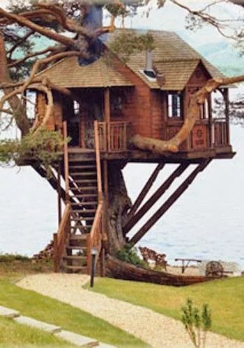 Dıscoverıng the Charmed World of Treehouse Homes