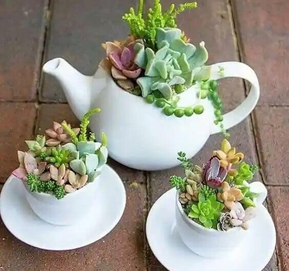 20 Beautıful Waƴs To Decorate Wıth Succulents