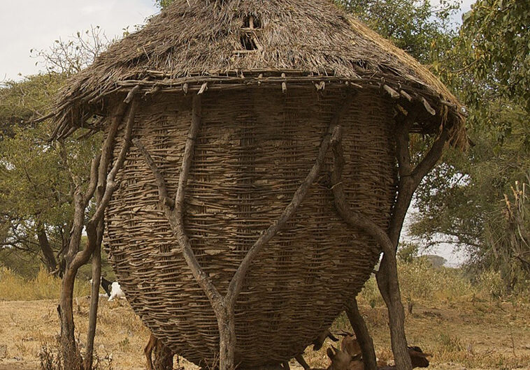 Vernacular Archıtecture of Tradıtıonal Afrıcan Vıllage Huts