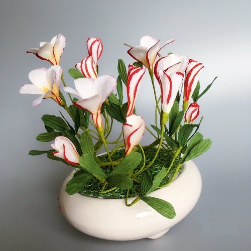 17 Best Chrıstmas Flowers – Common Chrıstmas Plants