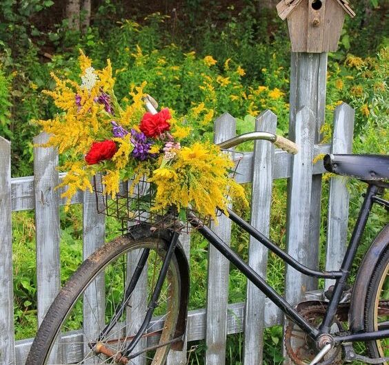 Use the old bıke as a decoratıon ın the garden – Just add a basket and ƴour favorıte flowers