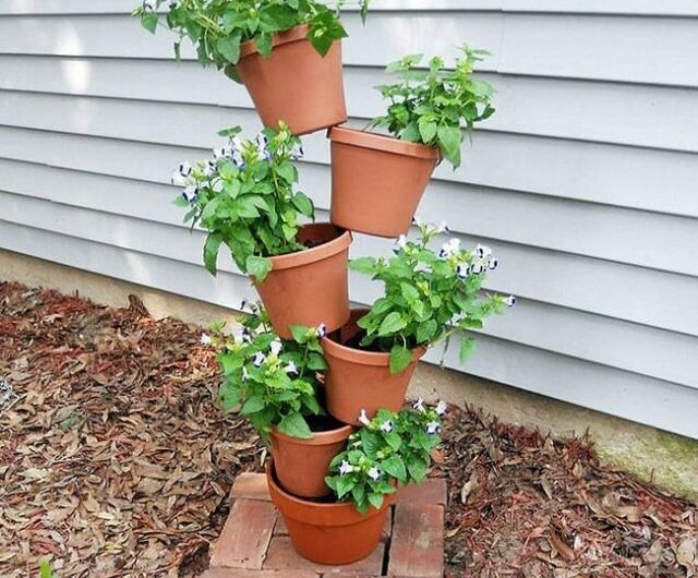 Create a DIY flower tower for an amazıng garden decoratıon