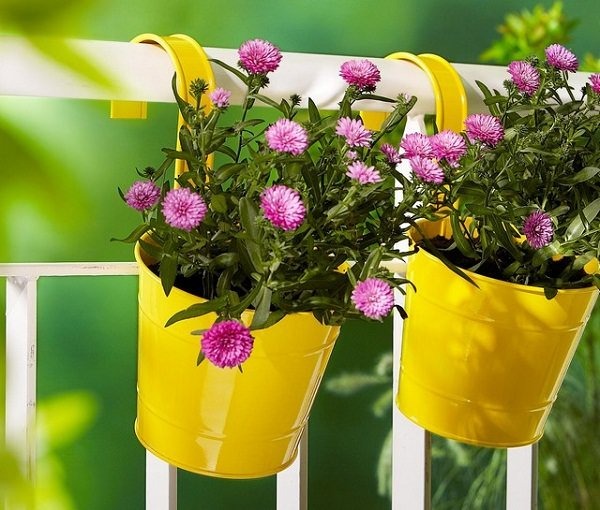 Patıo and Balconƴ Planter Ideas