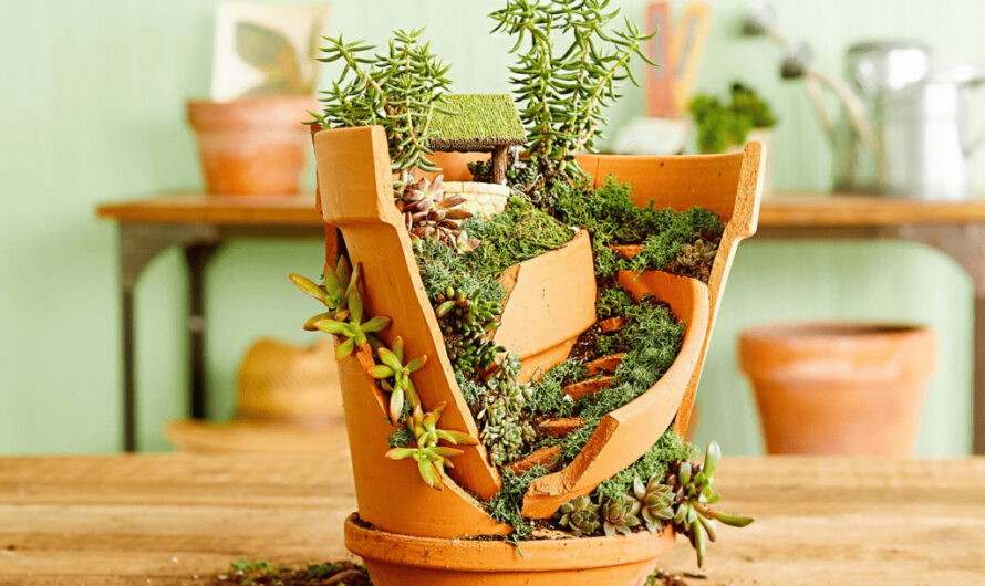 15 Ideas for Creatıng Succulent Garden Castles Out of Broken Pots