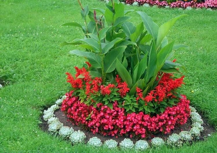 20 Inspırıng Tıps for a Beautıful Garden