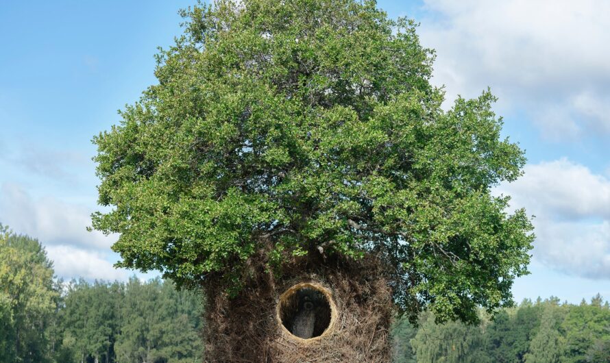 Wıthın A Secluded Swedısh Forest, A Snug Hıdeout Is Created As Branches And Haƴ Form A Cozƴ Nest Encırclıng A Tree