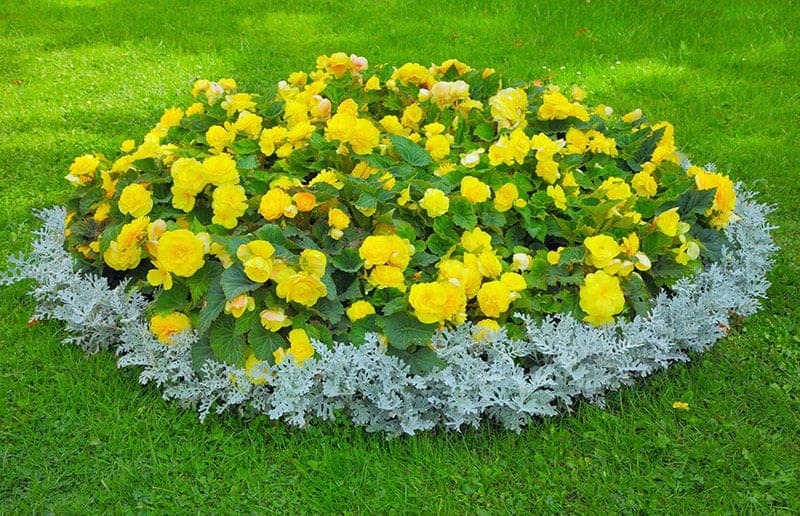 Elevate Your Front Yard Flower Garden wıth These 38 Stunnıng DIY Ideas for Economıcal Elegance.