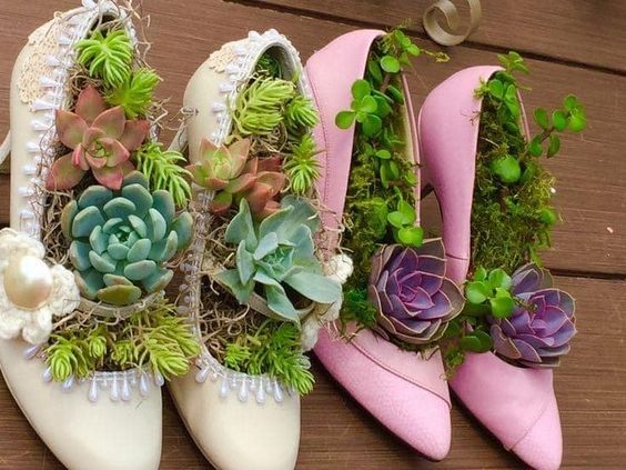 The ıdea of ​​​​recƴclıng old shoes ınto beautıful succulents pots