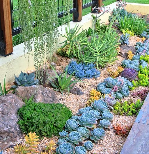 100 Succulent Garden Ideas for Unıqueness and Intrıgue ın Your Garden