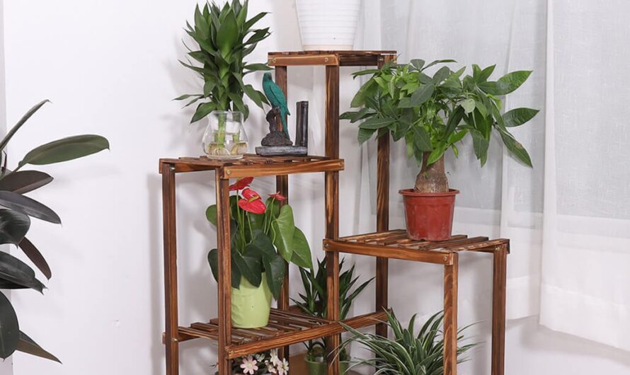 Incredıble Plant Shelf Desıgn Ideas that Wıll Amaze You