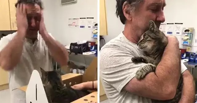 Man Gets Reunited With His 19-Year-Old Cat 7 Years After He Went Missing