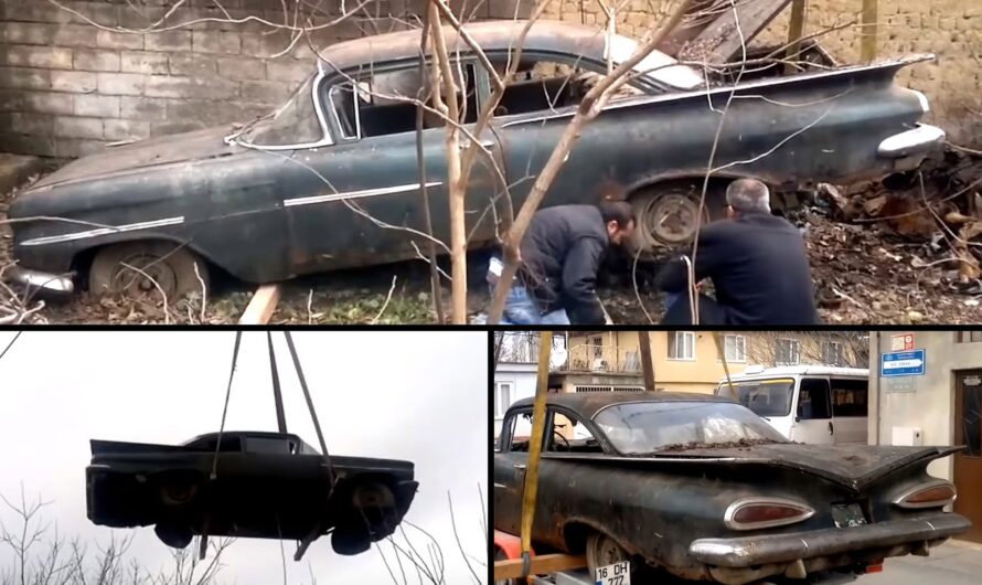 After 45 years of neglect, this 1959 Chevrolet Bel Air emerges from obscurity, ready for a new chapter