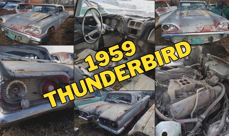 1959 Ford Thunderbird “Junkyard Find” Hopes Nobody Looks Under the Hood