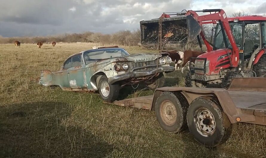 1960 Plymouth Belvedere Sitting for 40 Years Looks Like “Christine” on a Really Bad Day