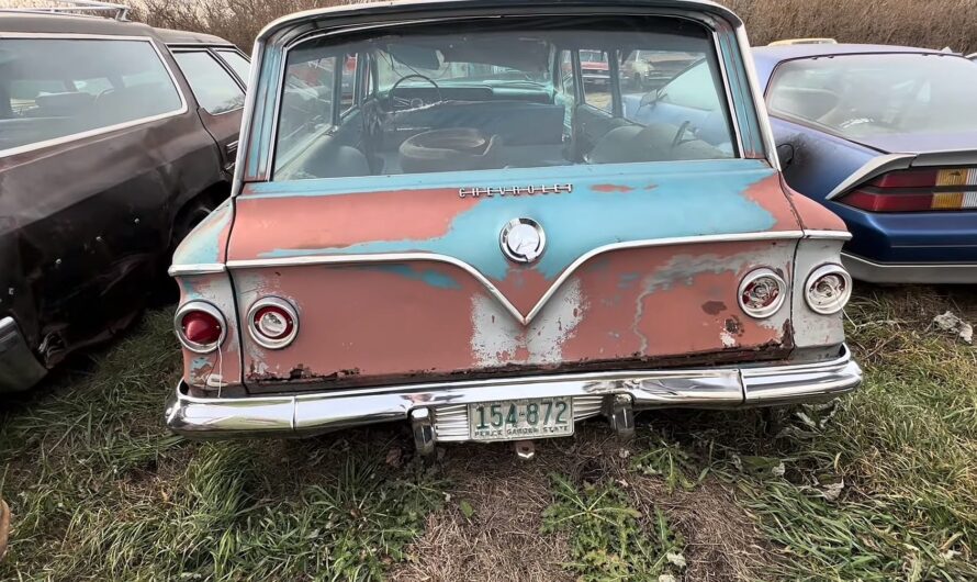 Forgotten Gem: Abandoned 1961 Chevrolet Parkwood Unearthed After 48 Years