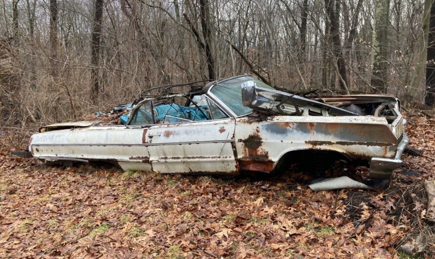 1964 Chevrolet Impala Left to Rot in a Forest Proves Legends Never Give Up